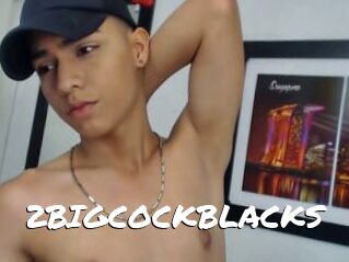 2BIGCOCKBLACKS