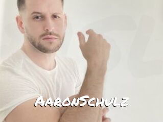 AaronSchulz