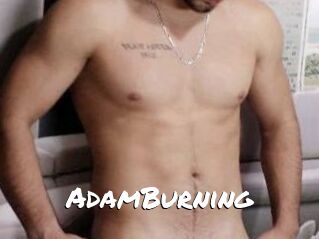 AdamBurning