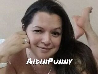 AidinPunny