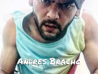 Andres_Bracho