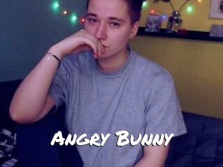 Angry_Bunny