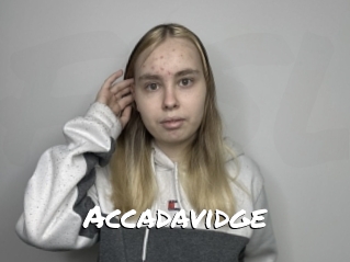 Accadavidge