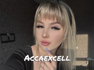 Accaexcell