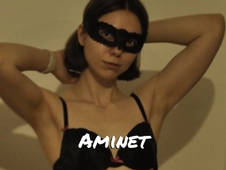 Aminet