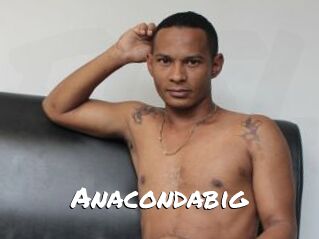 Anacondabig