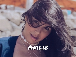 Aniliz