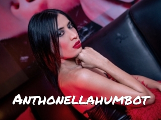 Anthonellahumbot