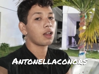 Antonellaconors