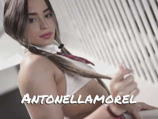 Antonellamorel