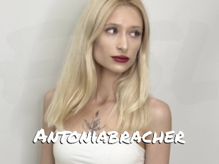 Antoniabracher