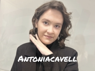 Antoniacavell