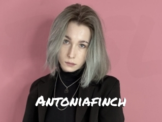 Antoniafinch
