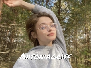 Antoniagriff