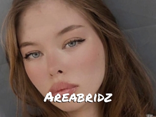 Areabridz