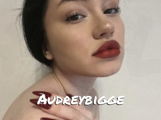 Audreybigge