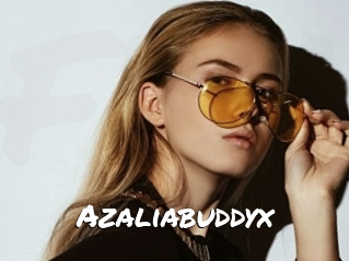 Azaliabuddyx