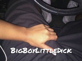 BigBoyLittleDick