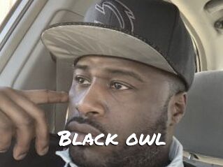 Black_owl