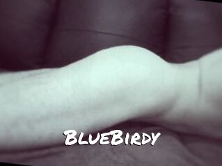 BlueBirdy