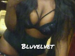 Bluvelvet