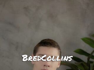 BredCollins