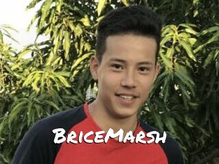 BriceMarsh