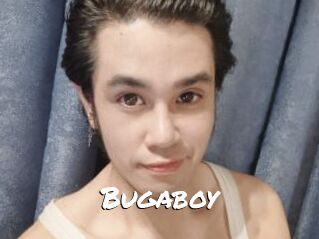 Bugaboy