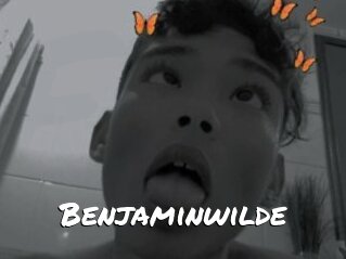 Benjaminwilde