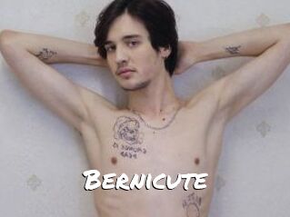 Bernicute