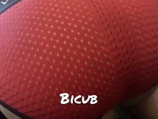 Bicub