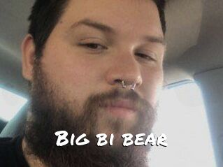 Big_bi_bear