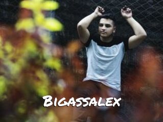 Bigassalex