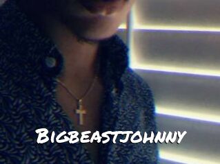 Bigbeastjohnny