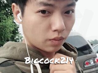 Bigcock214