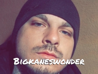 Bigkaneswonder