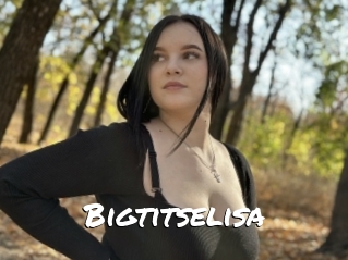 Bigtitselisa