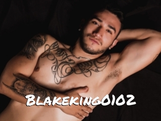 Blakeking0102