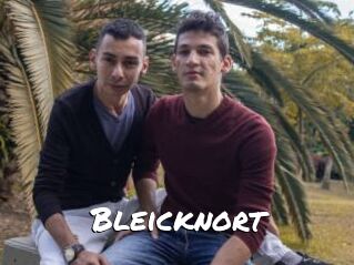 Bleicknort