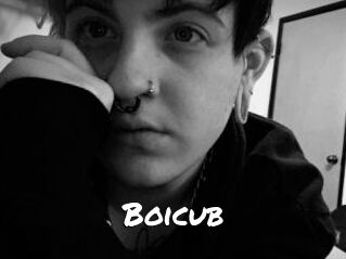 Boicub