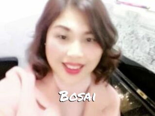 Bosai