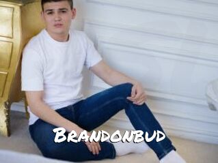 Brandonbud