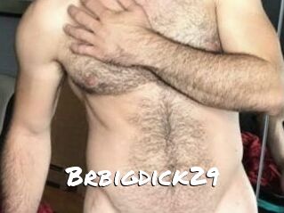 Brbigdick29