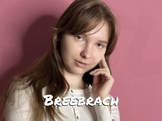 Breebrach