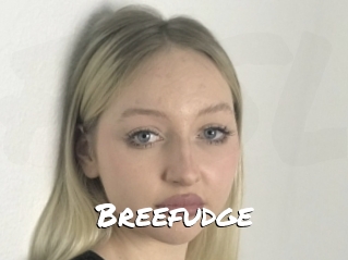 Breefudge