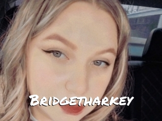 Bridgetharkey