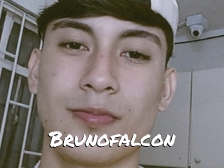 Brunofalcon