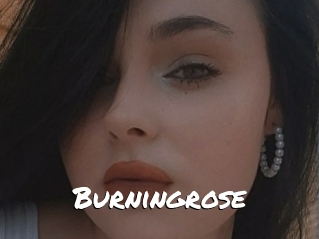 Burningrose