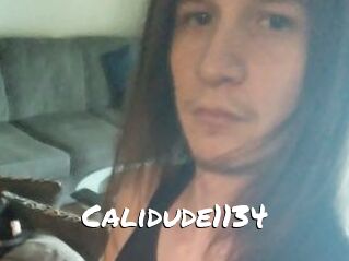 Calidude1134