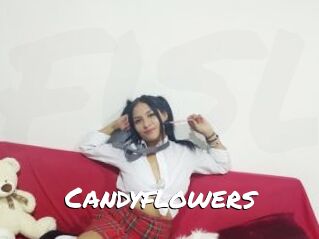 Candyflowers